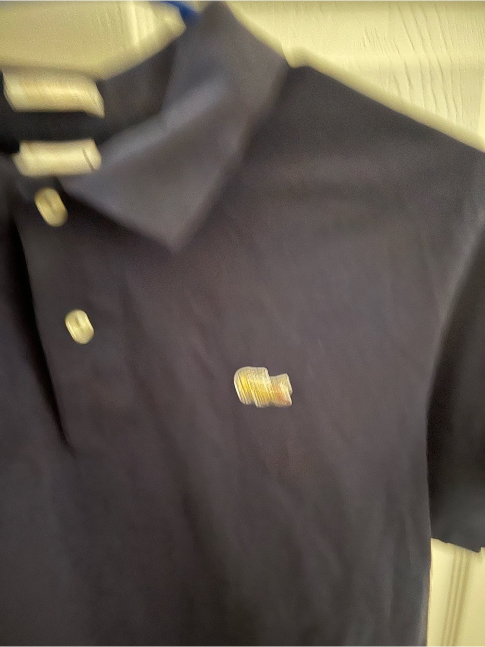 Lacoste Navy Blue Short Sleeve Polo with Crocodile Emblem
Gold collection - Picture 3 of 5